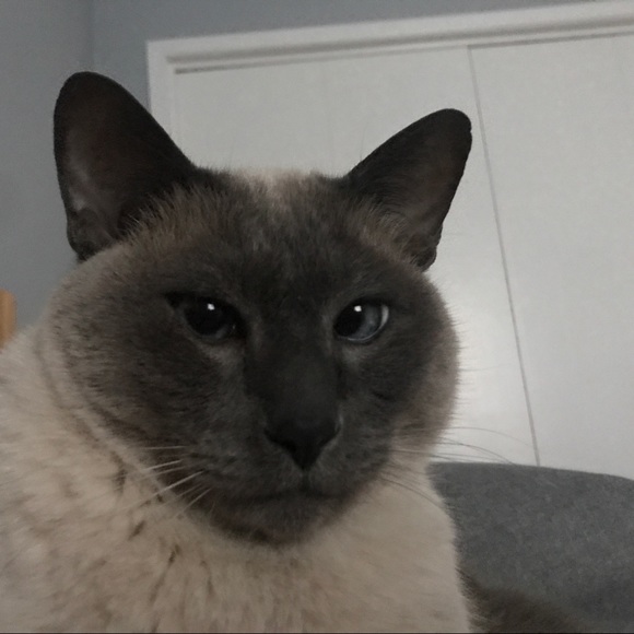 Meet your Posher, Angela - Picture 1 of 1